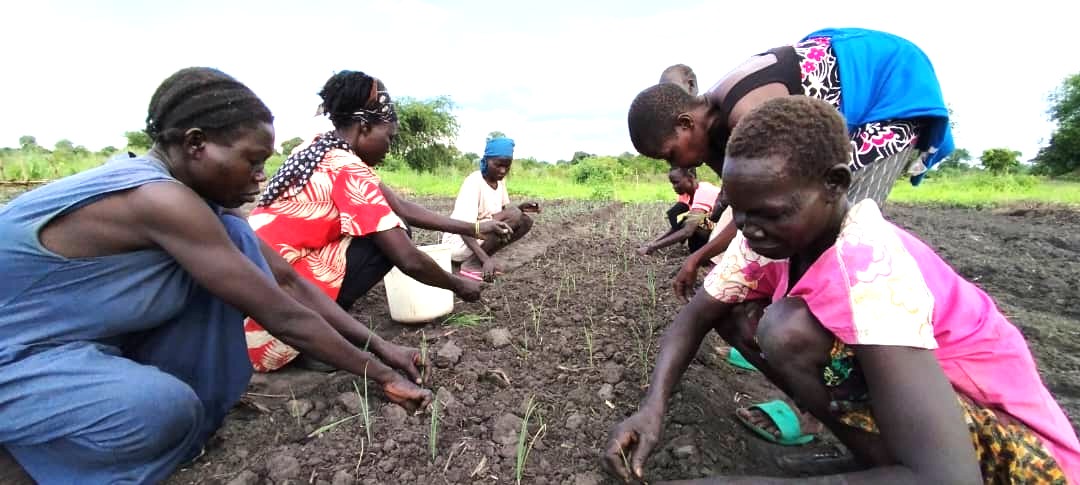 Poverty Alleviation Initiatives